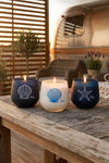 Marine İstiridye Set
